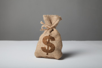 bag of money