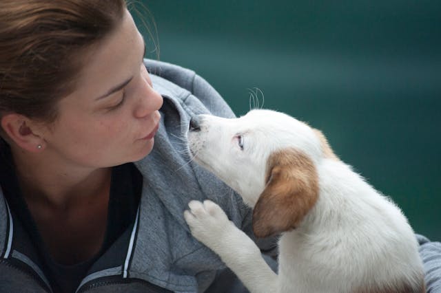 woman with pet dog