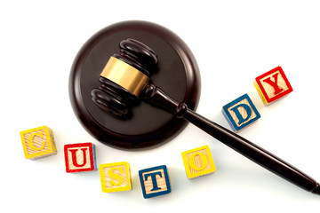 gavel and blocks that spell custody